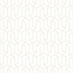abstract geometric lines lattice pattern seamless vector image
