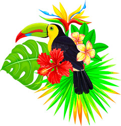 bright tropical composition with toucan palm vector