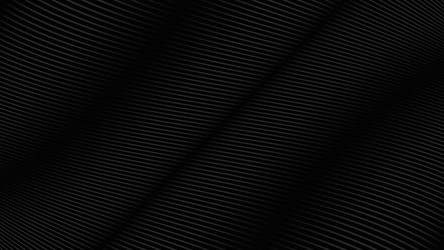 black background with line curve vector image