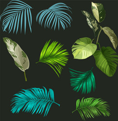 botanical leaf set vector