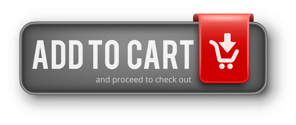button for web vector image