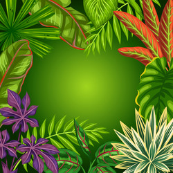 tropical paradise card with stylized plants Vector Image