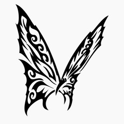 butterfly vector