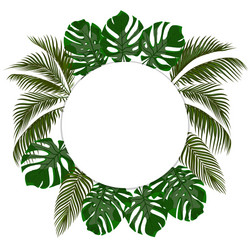 Tropical Palm Leaves Circle Vector Image
