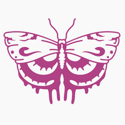 butterfly vector