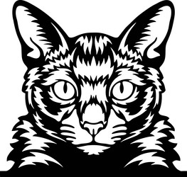 Peeking Cat Chatting Icon 18792793 Vector Art at Vecteezy