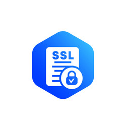 ssl icon for web vector image