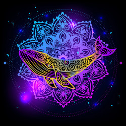 whale mandala sea Vector Image