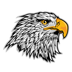 Angry Hawk Vector Images (over 810)