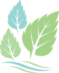 Mint leaves icons Royalty Free Vector Image - VectorStock