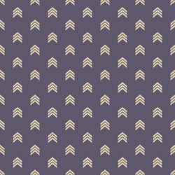 seamless color pattern with arrows motif vector image
