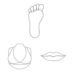 isolated object body and part icon set vector image