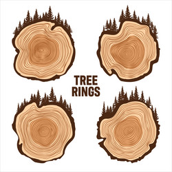 round tree trunk cuts with trees and forest sawn vector image