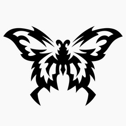 butterfly vector