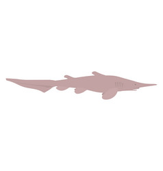Goblin Shark Vector Images (14)