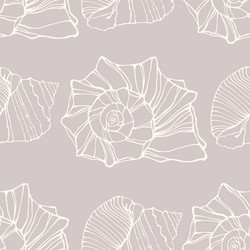 Seamless pattern with decorative shells vector