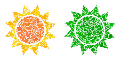 Sun icon botany mosaic of herbal items vector