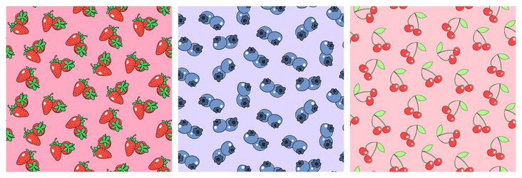 set of patterns with natural berry elements vector image