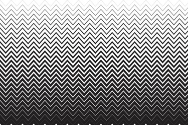 horizontal parallel zigzag lines of different vector image