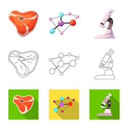 isolated object of and icon set s vector image