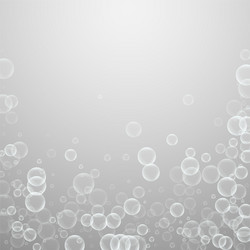 random soap bubbles abstract background blowing b vector image