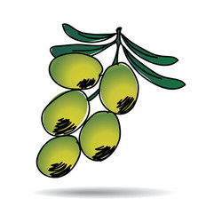 Freehand drawing olive icon vector