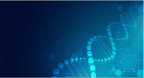 dna digital sequence code structure with glow vector image