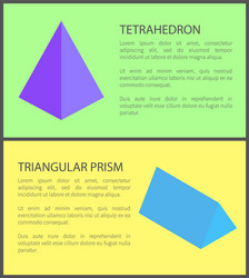 tetrahedron and triangular prism colorful banner vector image
