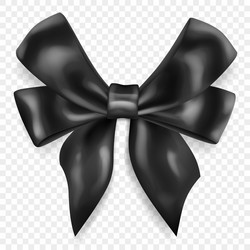 Beautiful big bow vector