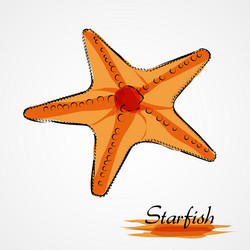 Pink beach starfish Royalty Free Vector Image - VectorStock