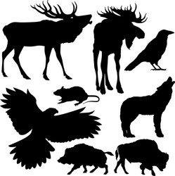 Animal Silhouettes - European Wildlife Vector Image