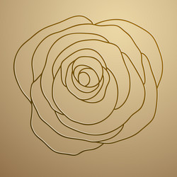 rose flower Vector Image