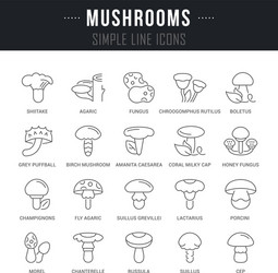 Set line icons mushrooms vector