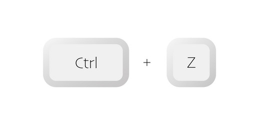 combination of keyboard buttons ctrlz vector image
