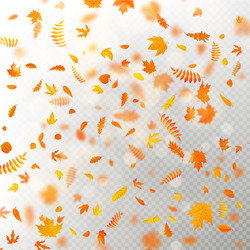 effect of autumn falling leaves layer with shallow vector image