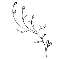 sketch branch of leaves by hand on an isolated vector image