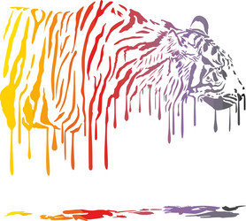 Tiger abstract color painting on a white vector