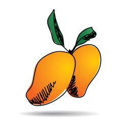 Freehand drawing mango icon vector