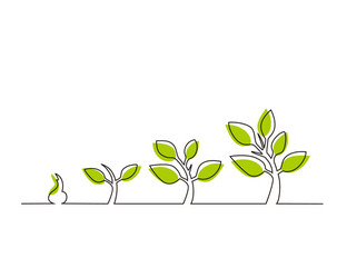 Continuous line drawing step tree growth Vector Image