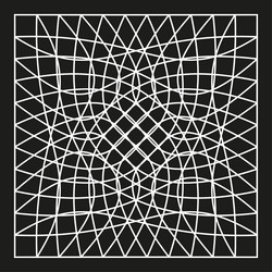 geometric web icon angular net shape star vector image