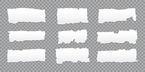 set of empty torn jagged rectangles vector image