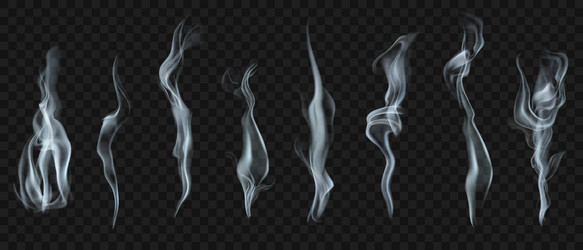 Smoke effect realistic traces in air from Vector Image