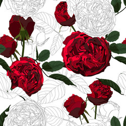 Red White Roses Floral Pattern Vector Image