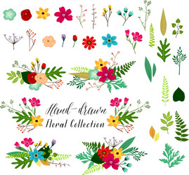 Floral Hand Drawn Collection Vector Image
