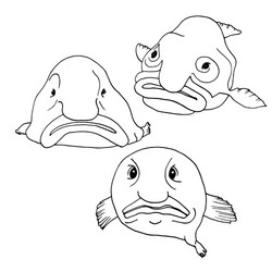 Cute Blobfish Vector Clipart Stock Illustration - Download Image Now - Blob,  Fish, Anthropomorphic Face - iStock