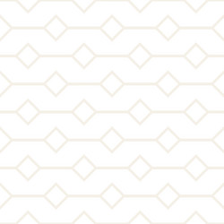 abstract geometric lines lattice pattern seamless vector image