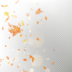 effect of autumn falling leaves layer with shallow vector image