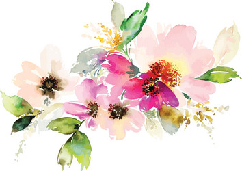 Watercolor Floral Bouquet Vector Image