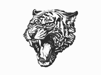 Roaring Tiger Head Vector Image