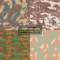 Camouflage Pattern Texture Set vector image
